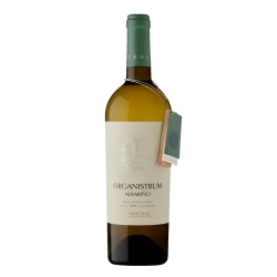 copy of Martín Códax Arousa