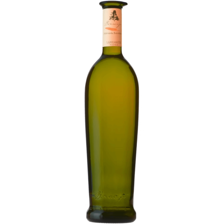 copy of Listán Negro Maceracion Carbónica