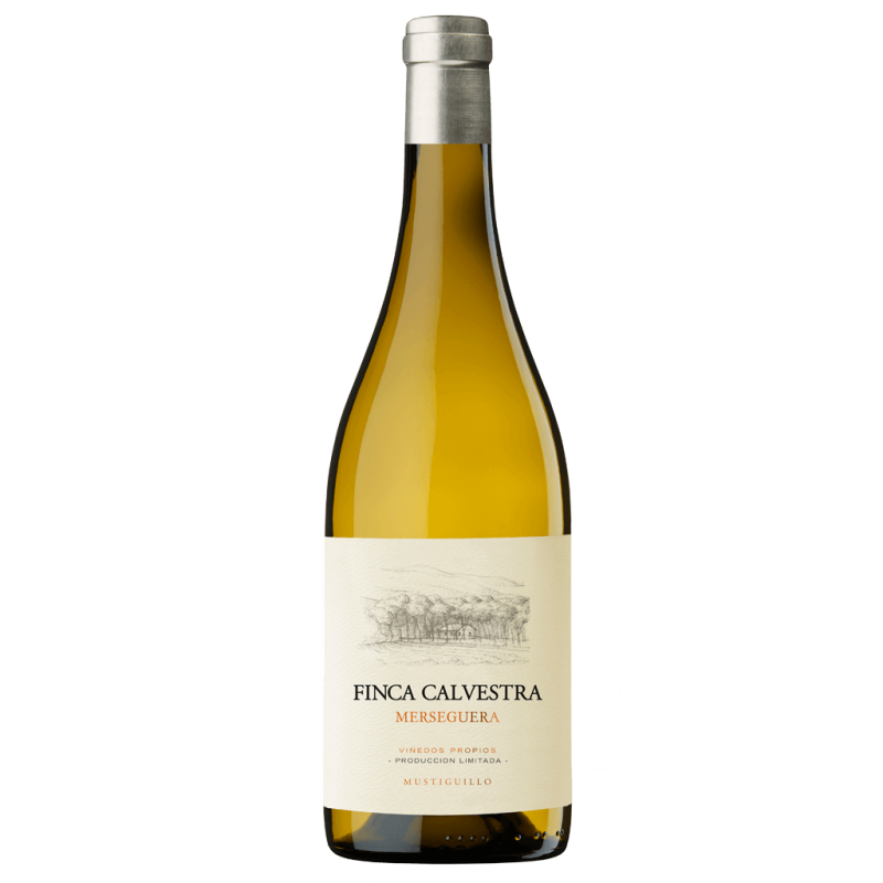 copy of Mestizaje Tinto