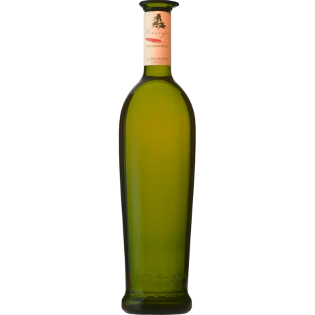 copy of Listán Negro Maceracion Carbónica