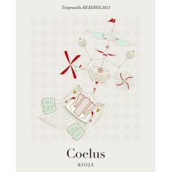 copy of Yllera Verdejo Vendimia Nocturna